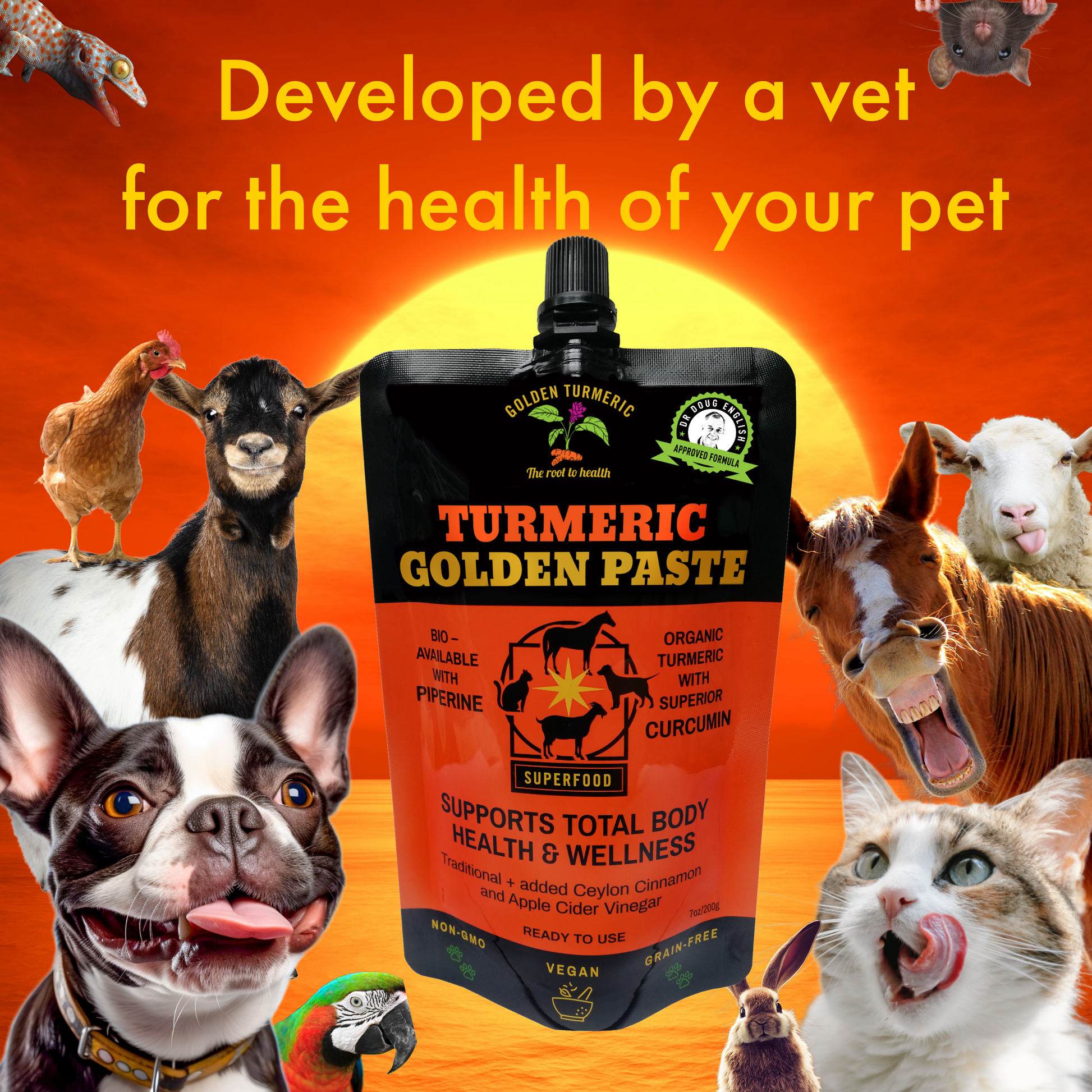 Turmeric Golden Paste Veterinarian Recipe